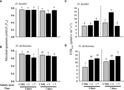 Desalination effects on macroalgae (part A): Laboratory-controlled experiments with Dictyota spp. from the Pacific Ocean and Mediterranean Sea